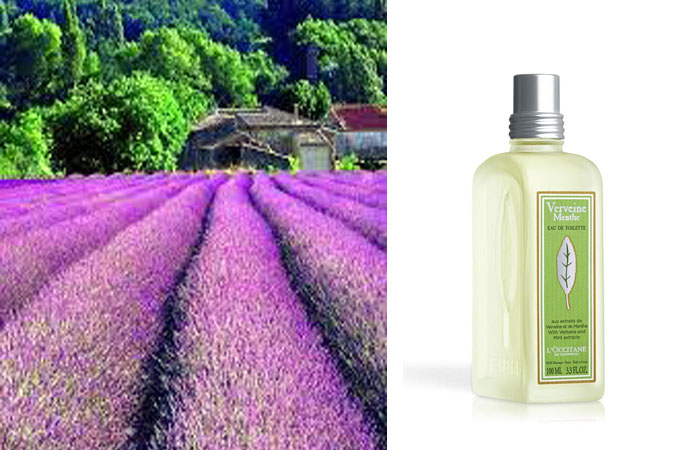 На фото туалетная вода Verbena Menta от L'Occitane
